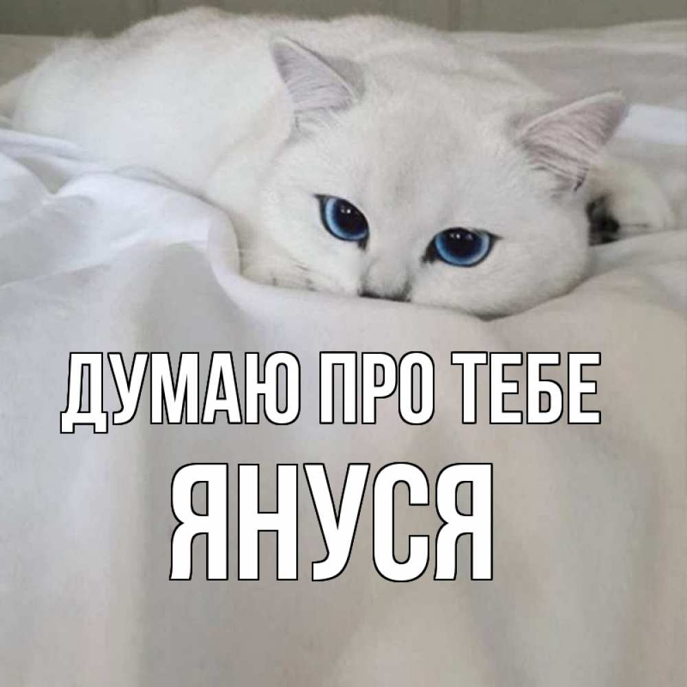 Открытка на каждый день з підписом, Януся Думаю про тебе я очень по тебе скучаю и тоскую Прикольна листівка з побажанням онлайн скачати безкоштовно 