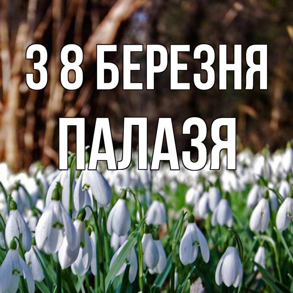 Открытка на каждый день з підписом, Палазя З 8 БЕРЕЗНЯ с подснежниками 1 Прикольна листівка з побажанням онлайн скачати безкоштовно 