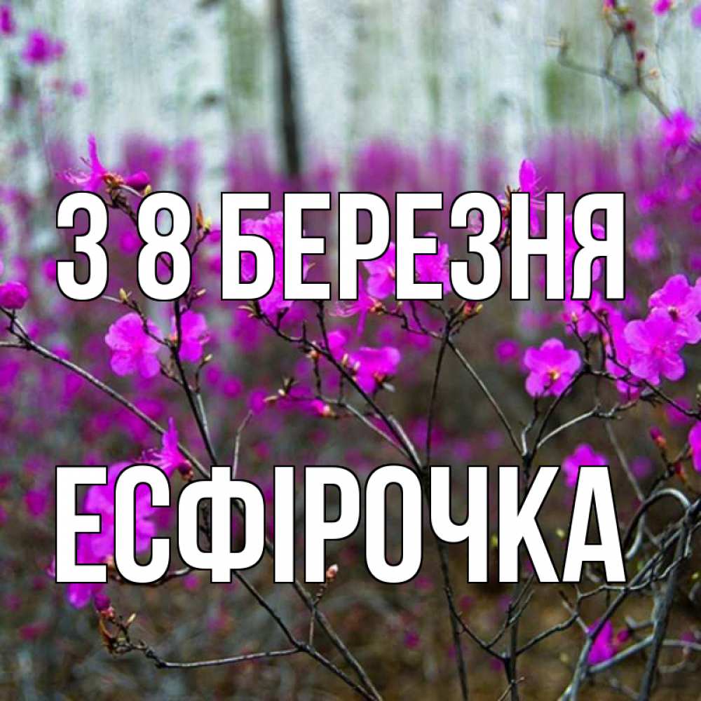 Открытка на каждый день з підписом, Есфірочка З 8 БЕРЕЗНЯ дикие цветы Прикольна листівка з побажанням онлайн скачати безкоштовно 