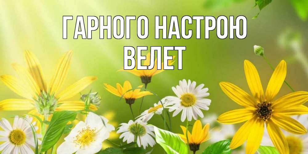 Открытка на каждый день з підписом, Велет Гарного настрою цветы Прикольна листівка з побажанням онлайн скачати безкоштовно 