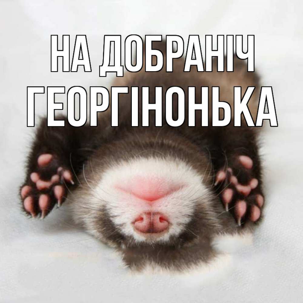 Открытка на каждый день з підписом, Георгінонька На добраніч зверек Прикольна листівка з побажанням онлайн скачати безкоштовно 