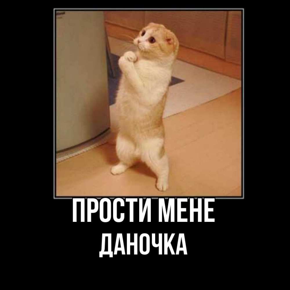 Открытка на каждый день з підписом, Даночка Прости мене открытка с милым несчастным котиком просящим прощения Прикольна листівка з побажанням онлайн скачати безкоштовно 