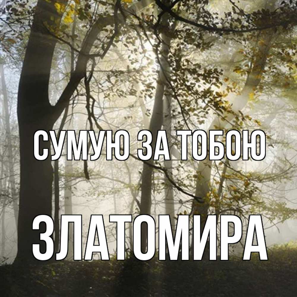 Открытка на каждый день з підписом, Златомира Сумую за тобою грустно Прикольна листівка з побажанням онлайн скачати безкоштовно 