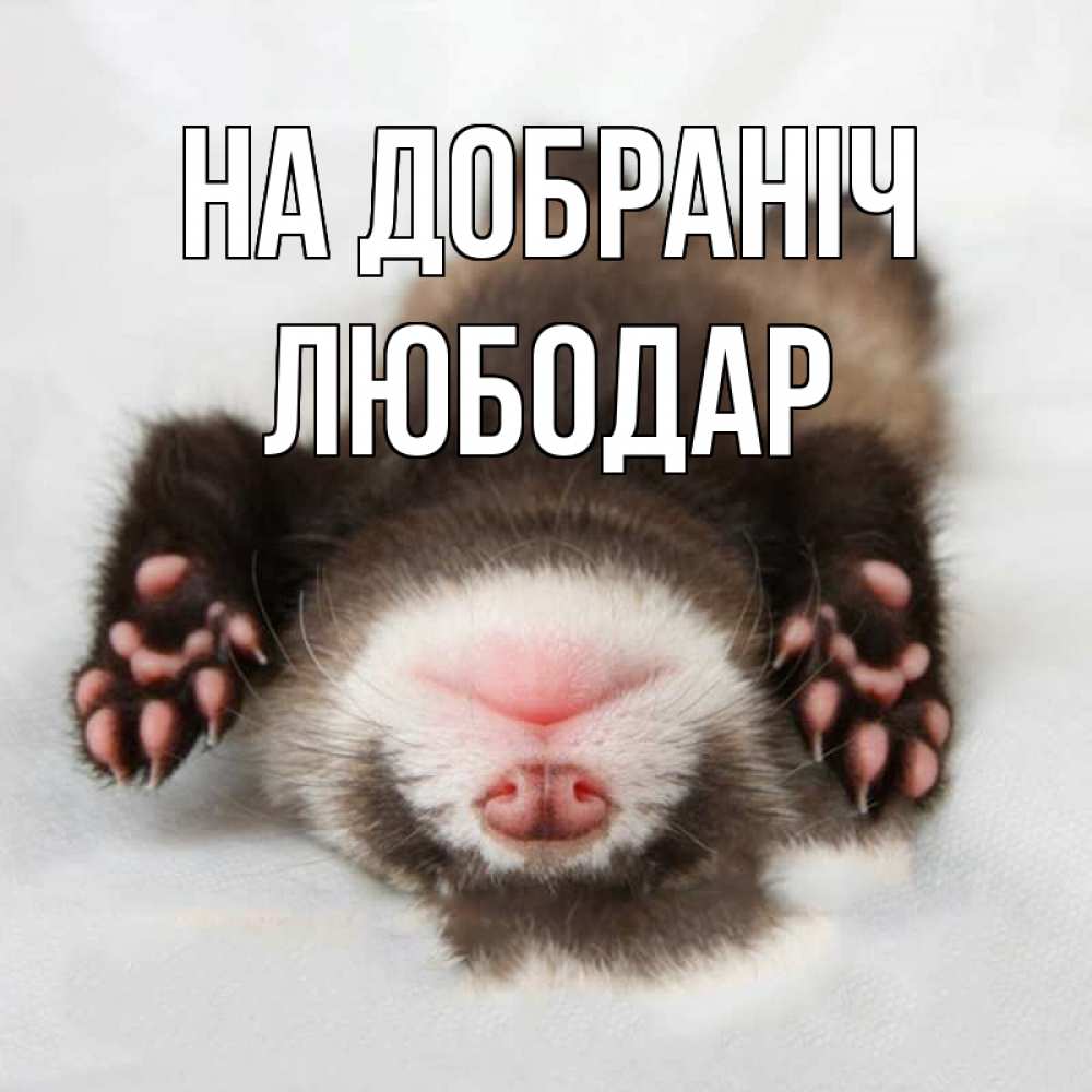 Открытка на каждый день з підписом, Любодар На добраніч зверек Прикольна листівка з побажанням онлайн скачати безкоштовно 