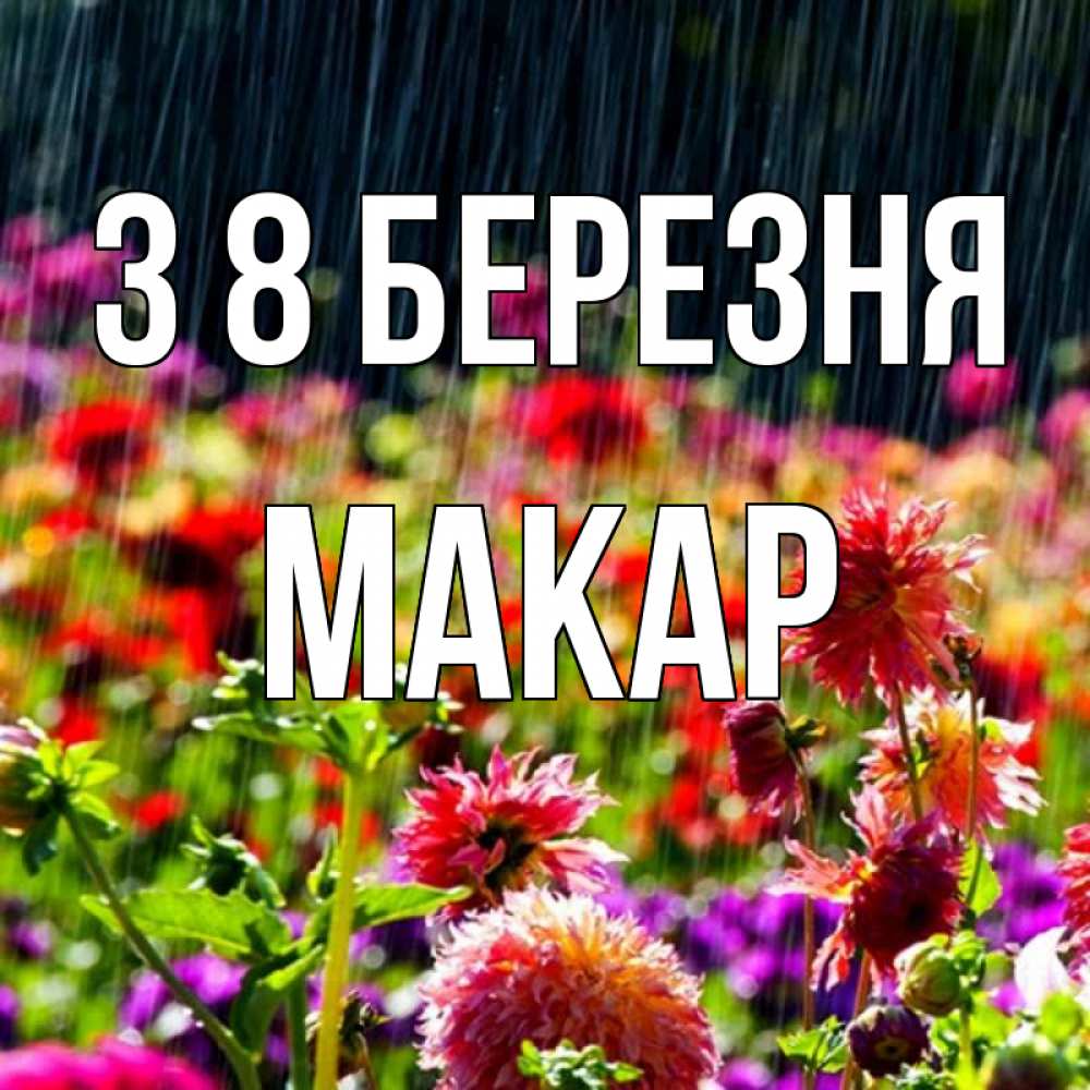 Открытка на каждый день з підписом, Макар З 8 БЕРЕЗНЯ цветы под дождиком к международному женскому дню Прикольна листівка з побажанням онлайн скачати безкоштовно 