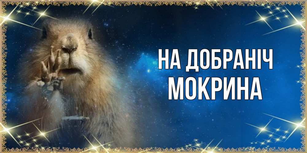 Открытка на каждый день з підписом, Мокрина На добраніч спокойной ночи сладких снов Прикольна листівка з побажанням онлайн скачати безкоштовно 