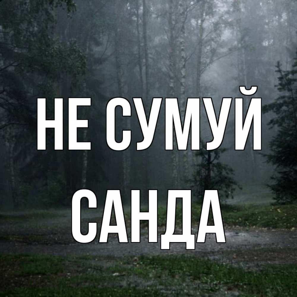 Открытка на каждый день з підписом, Санда Не сумуй осень Прикольна листівка з побажанням онлайн скачати безкоштовно 
