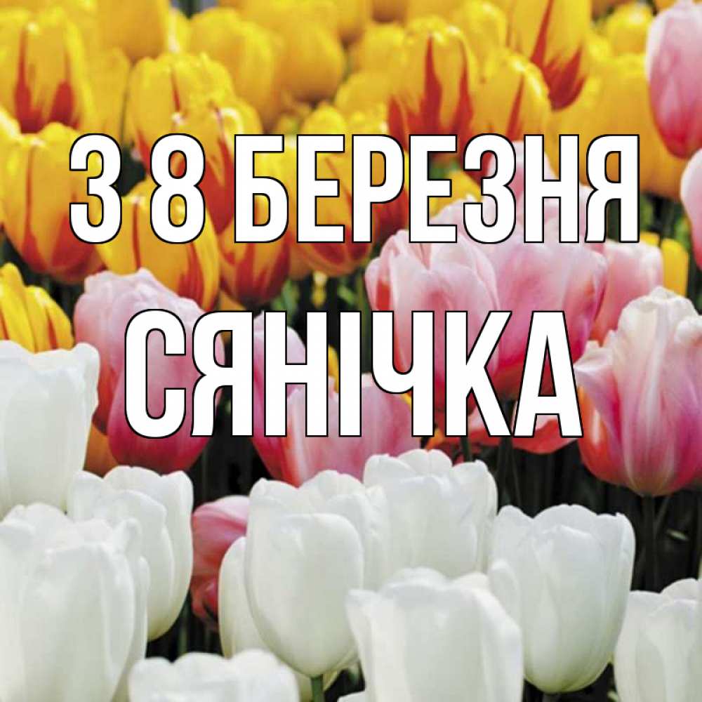 Открытка на каждый день з підписом, Сянічка З 8 БЕРЕЗНЯ разноцветные цветы Прикольна листівка з побажанням онлайн скачати безкоштовно 