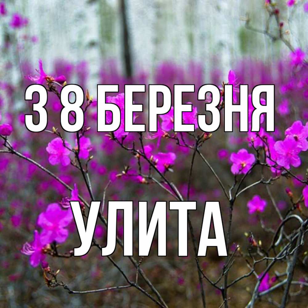 Открытка на каждый день з підписом, Улита З 8 БЕРЕЗНЯ дикие цветы Прикольна листівка з побажанням онлайн скачати безкоштовно 