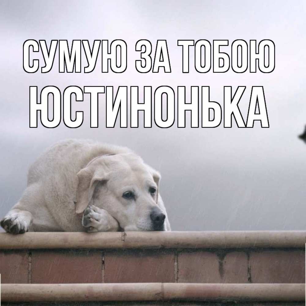 Открытка на каждый день з підписом, Юстинонька Сумую за тобою ждет Прикольна листівка з побажанням онлайн скачати безкоштовно 