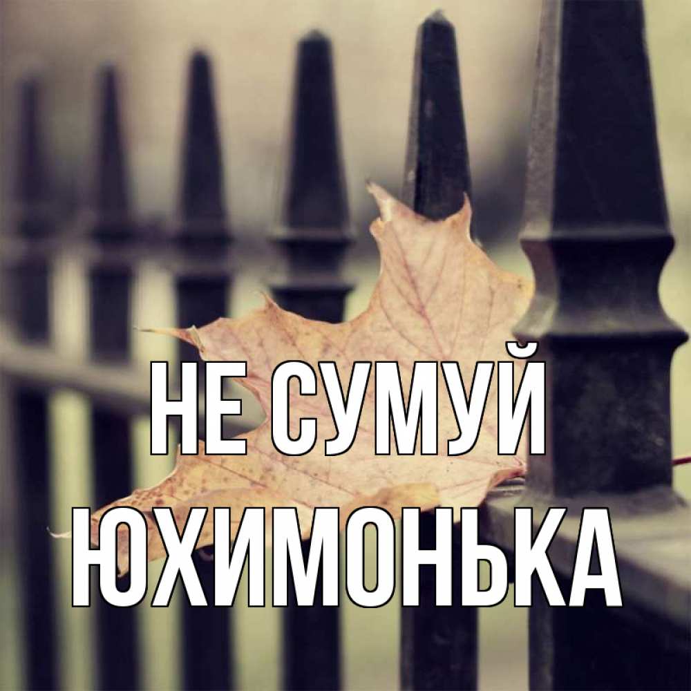 Открытка на каждый день з підписом, Юхимонька Не сумуй лист клена Прикольна листівка з побажанням онлайн скачати безкоштовно 