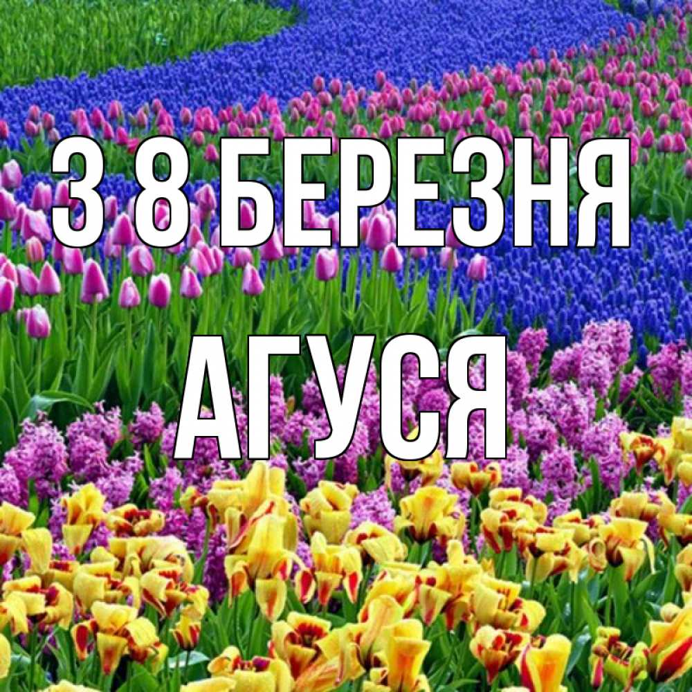 Открытка на каждый день з підписом, Агуся З 8 БЕРЕЗНЯ цветы Прикольна листівка з побажанням онлайн скачати безкоштовно 