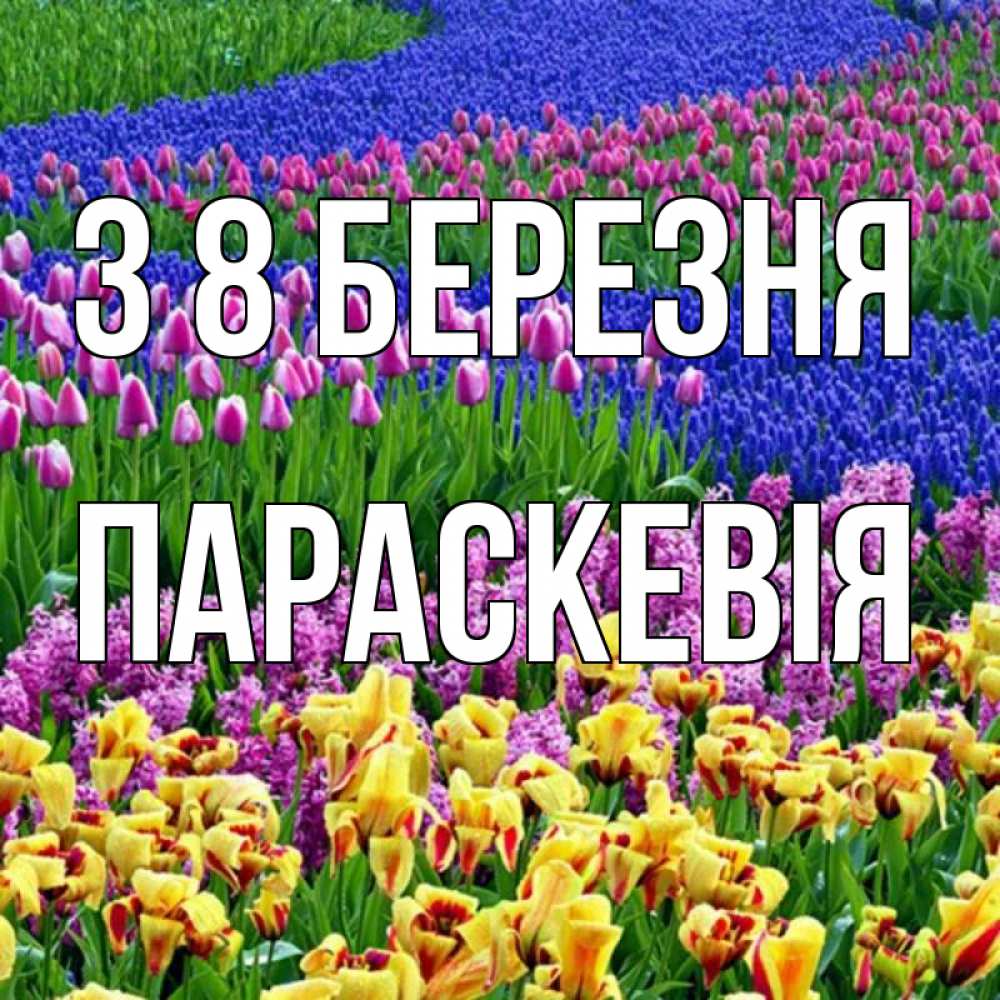 Открытка на каждый день з підписом, Параскевія З 8 БЕРЕЗНЯ цветы Прикольна листівка з побажанням онлайн скачати безкоштовно 