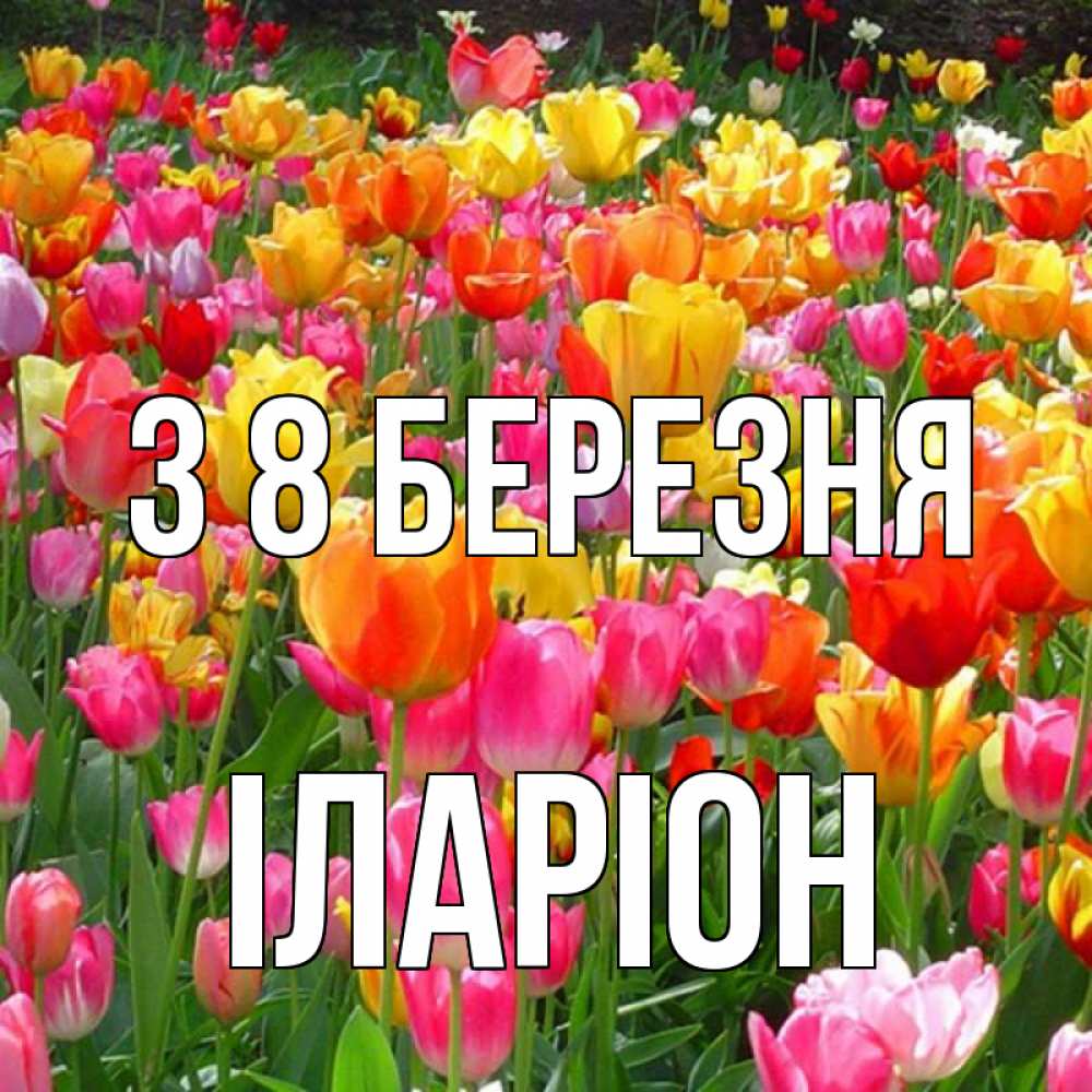 Открытка на каждый день з підписом, Іларіон З 8 БЕРЕЗНЯ на международный женский день Прикольна листівка з побажанням онлайн скачати безкоштовно 