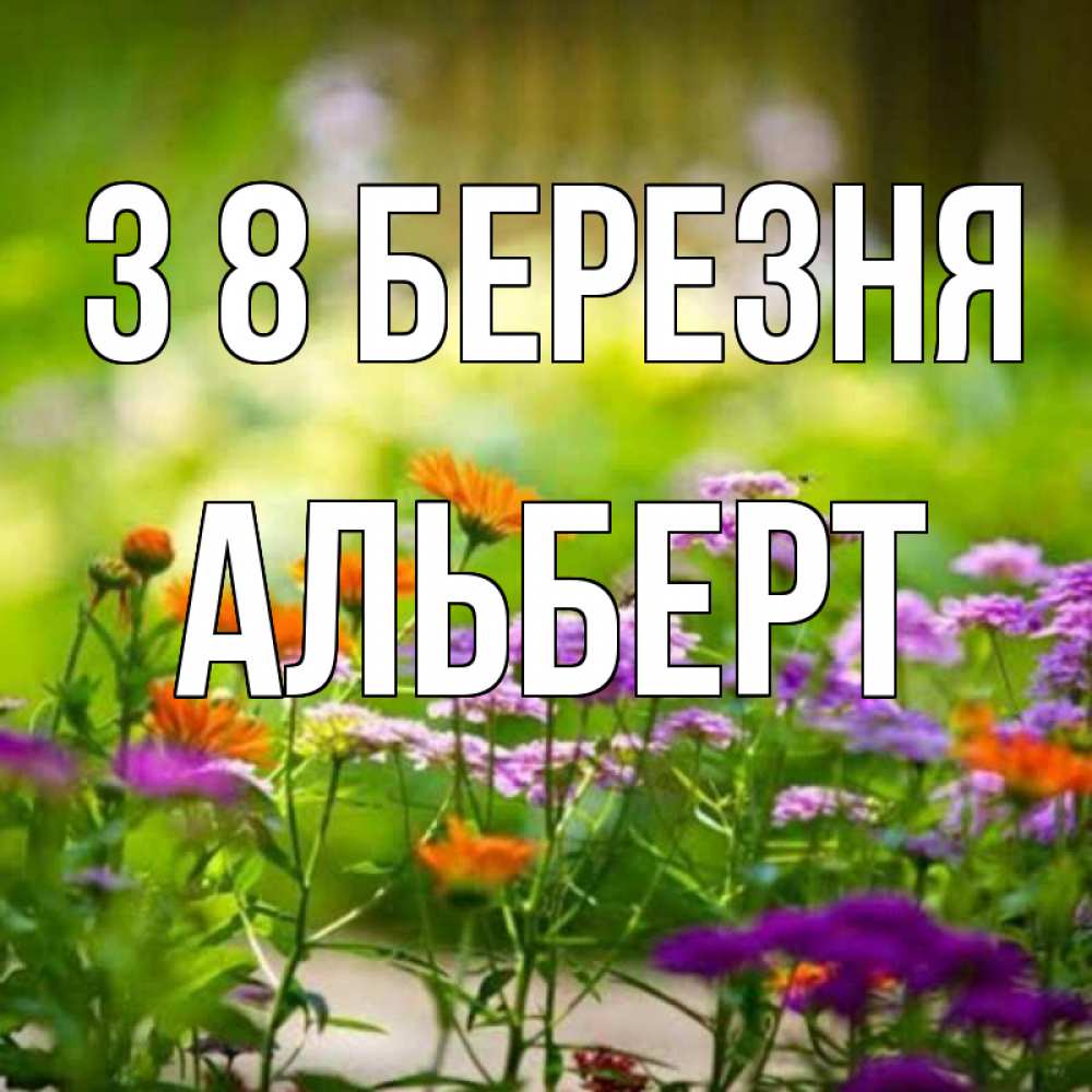 Открытка на каждый день з підписом, Альберт З 8 БЕРЕЗНЯ цветы Прикольна листівка з побажанням онлайн скачати безкоштовно 
