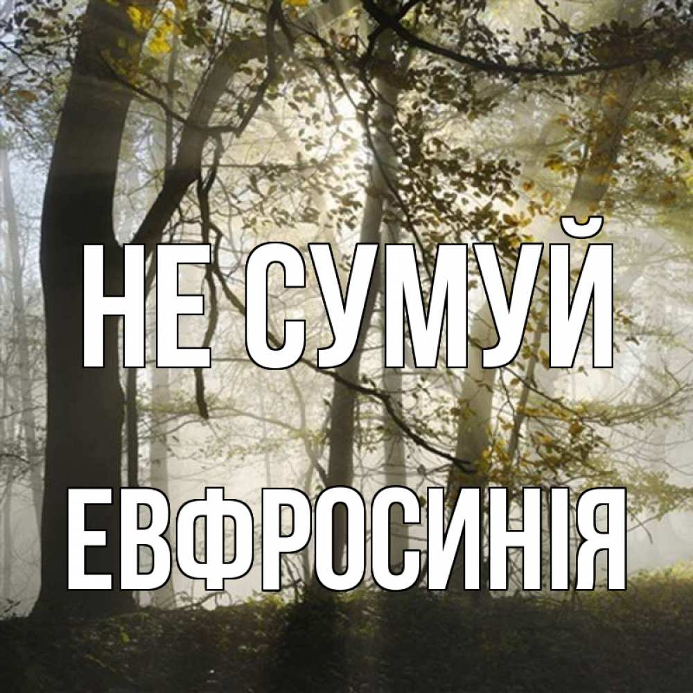 Открытка на каждый день з підписом, Евфросинія Не сумуй лес и свет Прикольна листівка з побажанням онлайн скачати безкоштовно 