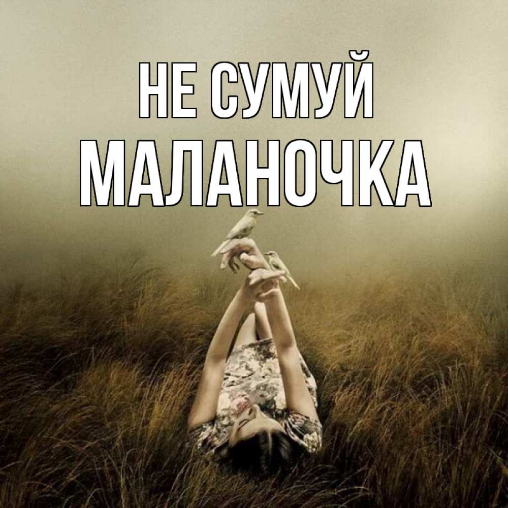 Открытка на каждый день з підписом, Маланочка Не сумуй поле и туман Прикольна листівка з побажанням онлайн скачати безкоштовно 