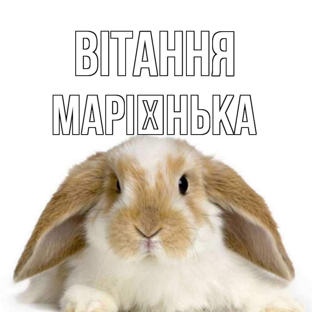 Открытка на каждый день з підписом, Марієнька Вітання с животными Прикольна листівка з побажанням онлайн скачати безкоштовно 