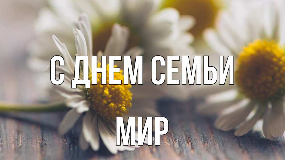 Открытка на каждый день з підписом, Мир С днем семьи с днем семьи Прикольна листівка з побажанням онлайн скачати безкоштовно 