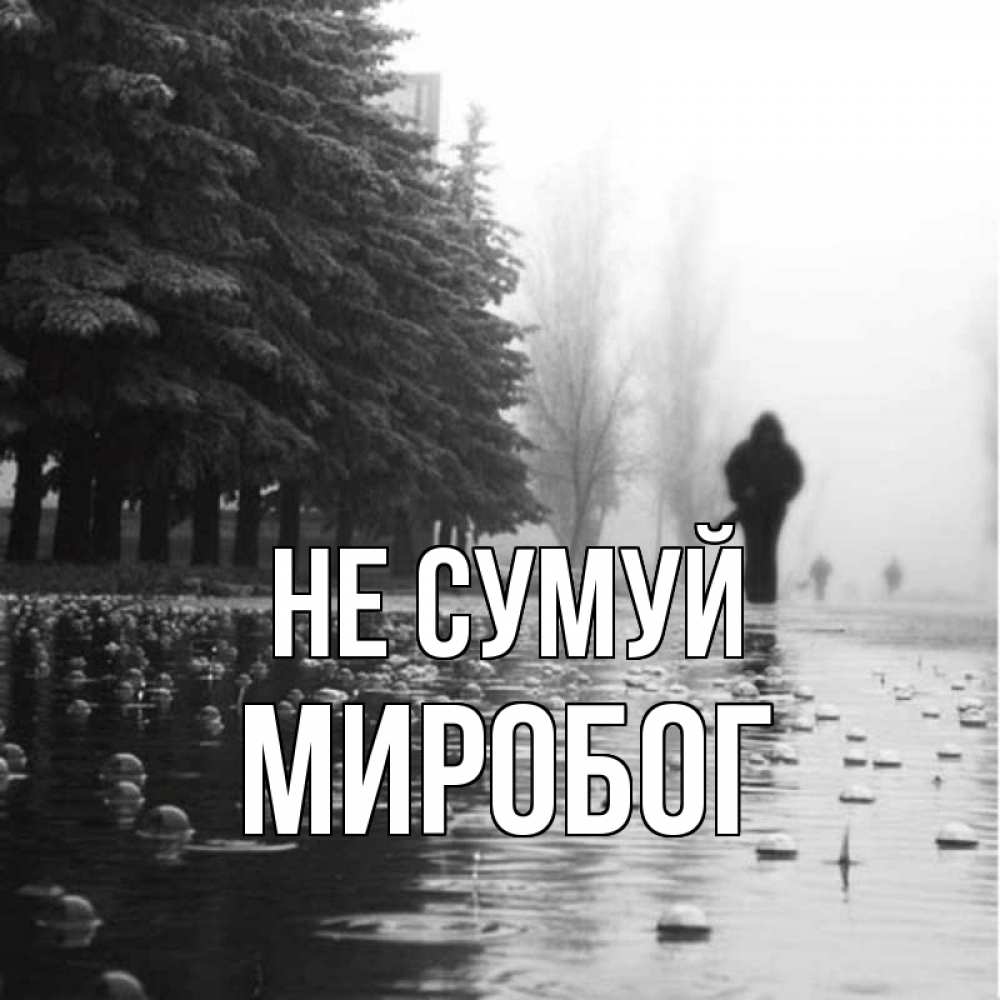 Открытка на каждый день з підписом, Миробог Не сумуй улица под дождем Прикольна листівка з побажанням онлайн скачати безкоштовно 