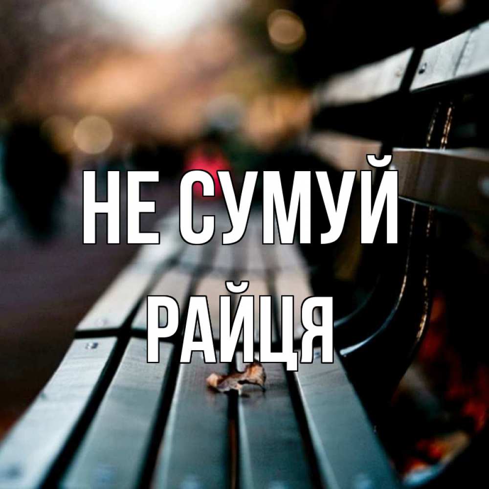 Открытка на каждый день з підписом, Райця Не сумуй размытый фон Прикольна листівка з побажанням онлайн скачати безкоштовно 