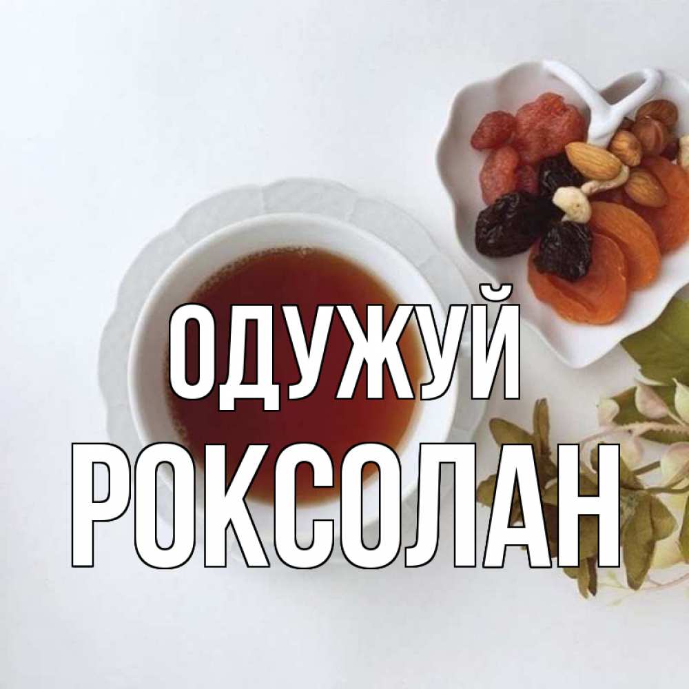Открытка на каждый день з підписом, Роксолан Одужуй неизвестные растения Прикольна листівка з побажанням онлайн скачати безкоштовно 