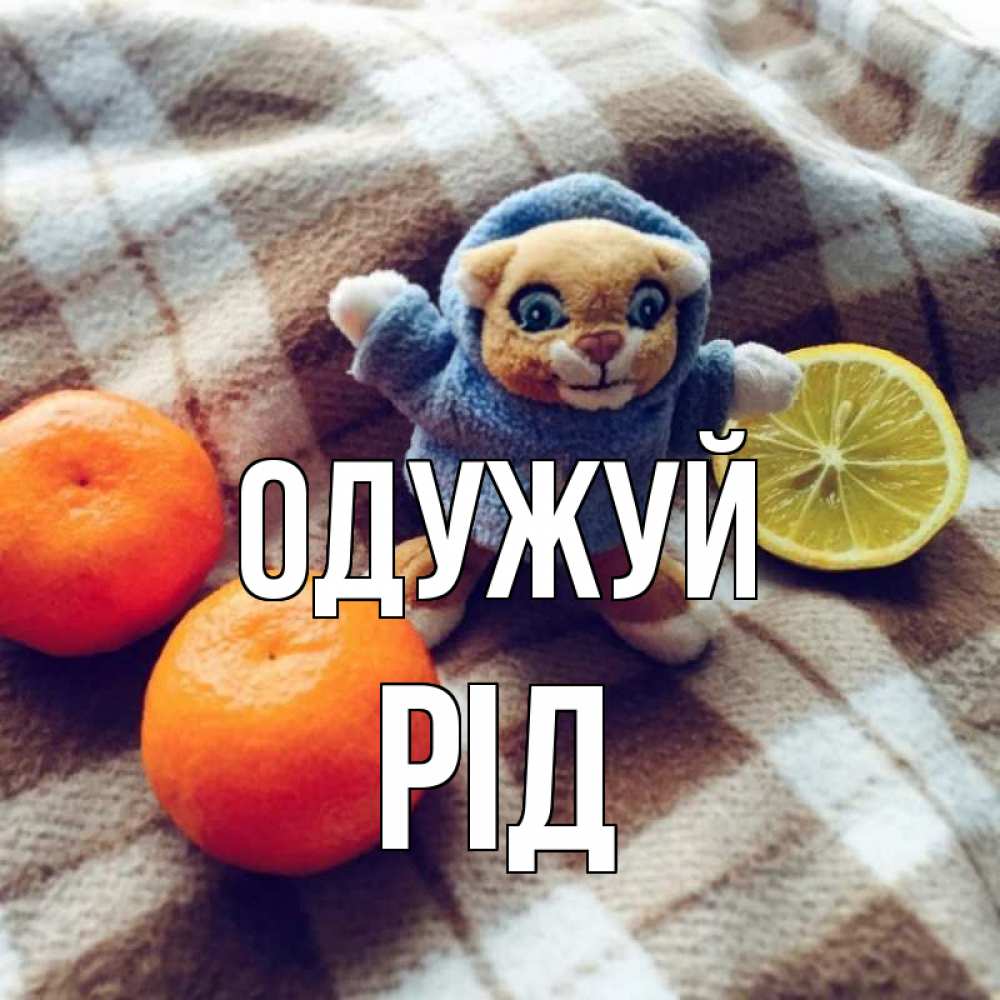 Открытка на каждый день з підписом, Рід Одужуй вот тебе апельсинка и лимон Прикольна листівка з побажанням онлайн скачати безкоштовно 