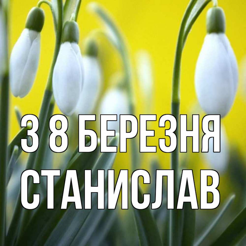 Открытка на каждый день з підписом, Станислав З 8 БЕРЕЗНЯ весенние цветы Прикольна листівка з побажанням онлайн скачати безкоштовно 