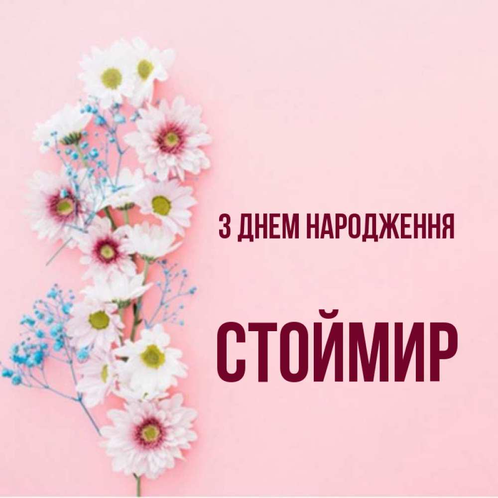 Открытка на каждый день з підписом, Стоймир З Днем народження Родная моя с днем рождения тебя картинка с цветами белыми и голубыми Прикольна листівка з побажанням онлайн скачати безкоштовно 