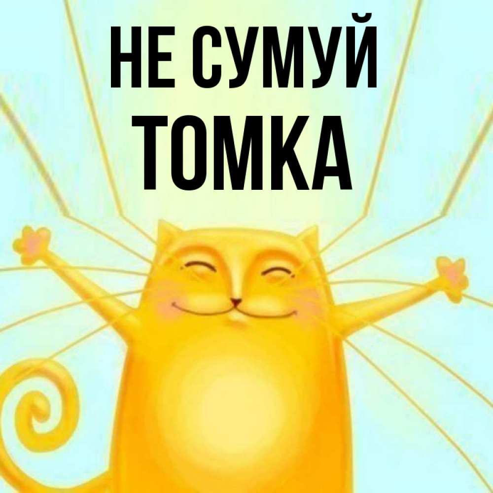Открытка на каждый день з підписом, Томка Не сумуй обнимашки усатые Прикольна листівка з побажанням онлайн скачати безкоштовно 