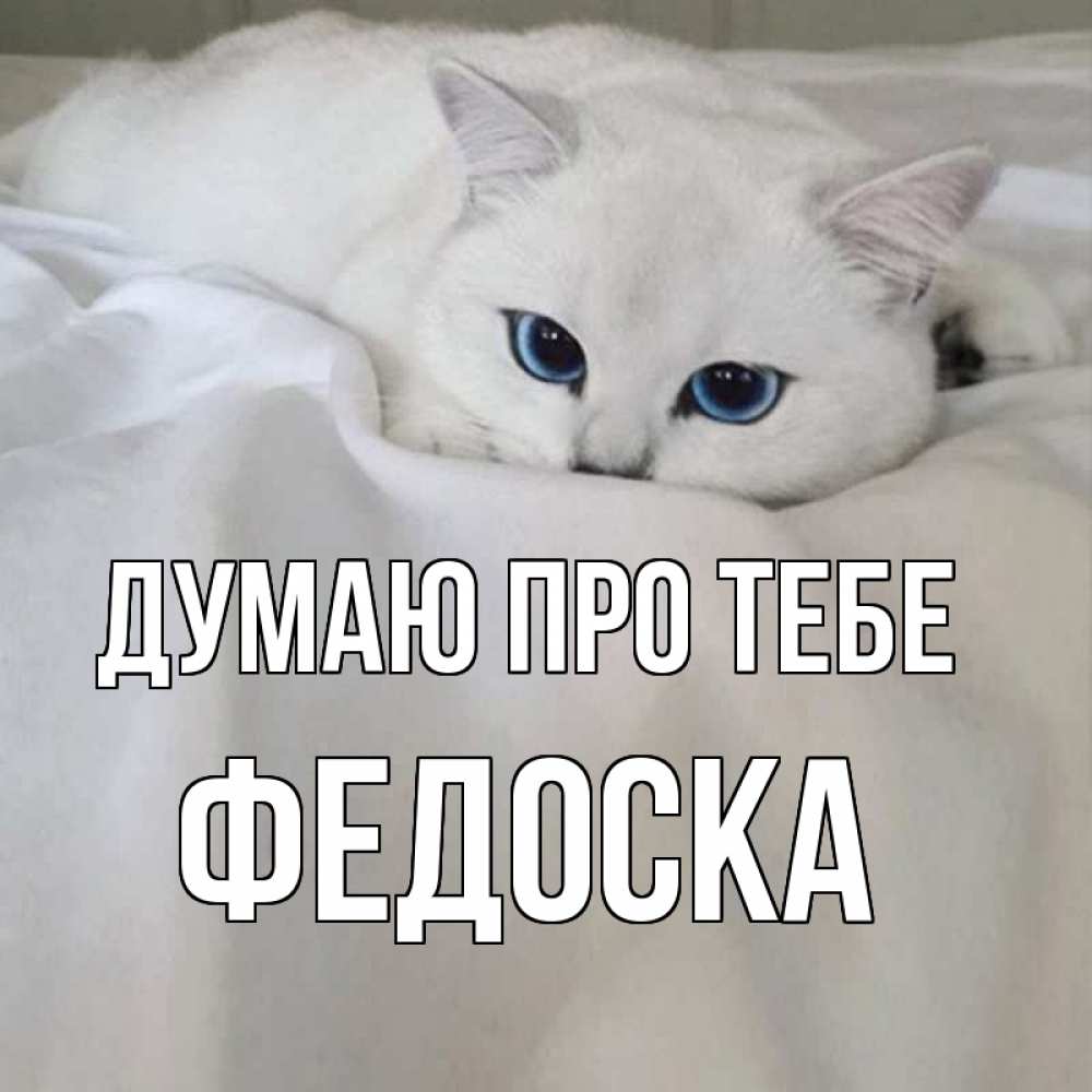 Открытка на каждый день з підписом, Федоска Думаю про тебе я очень по тебе скучаю и тоскую Прикольна листівка з побажанням онлайн скачати безкоштовно 