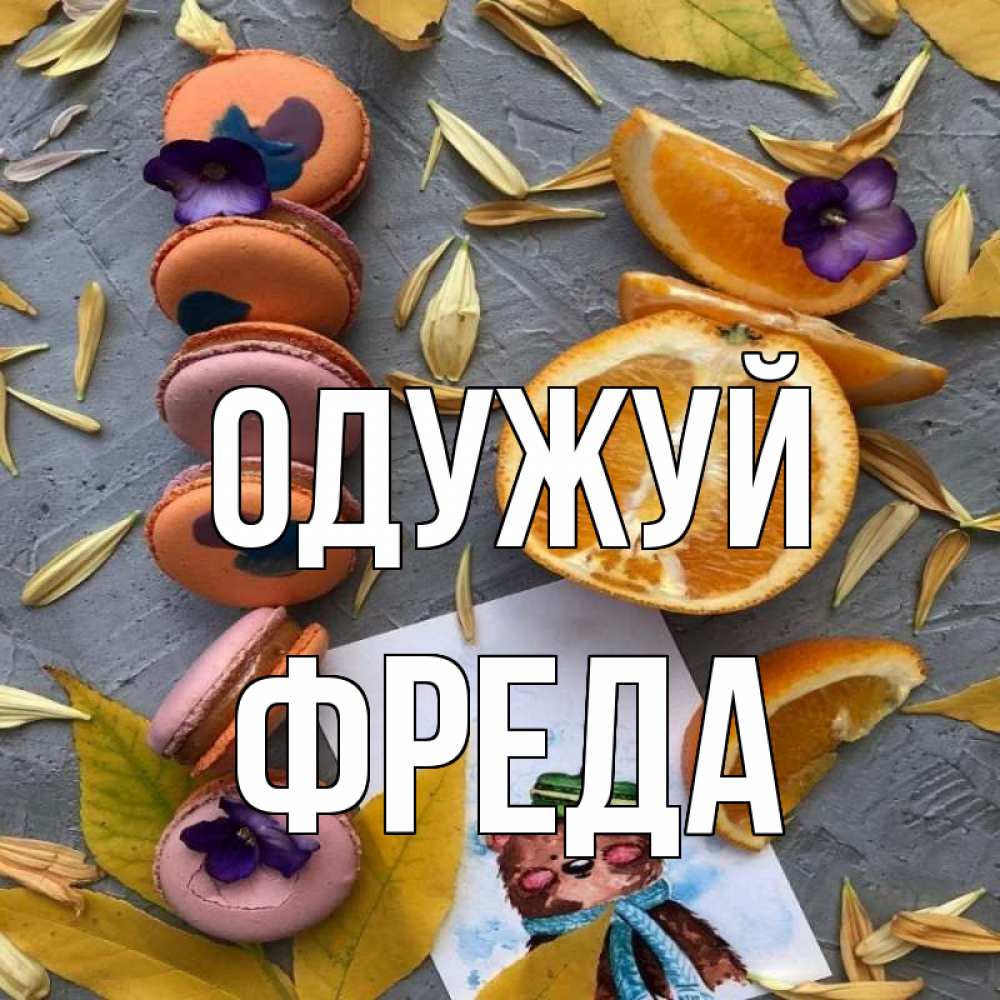 Открытка на каждый день з підписом, Фреда Одужуй не болейте Прикольна листівка з побажанням онлайн скачати безкоштовно 