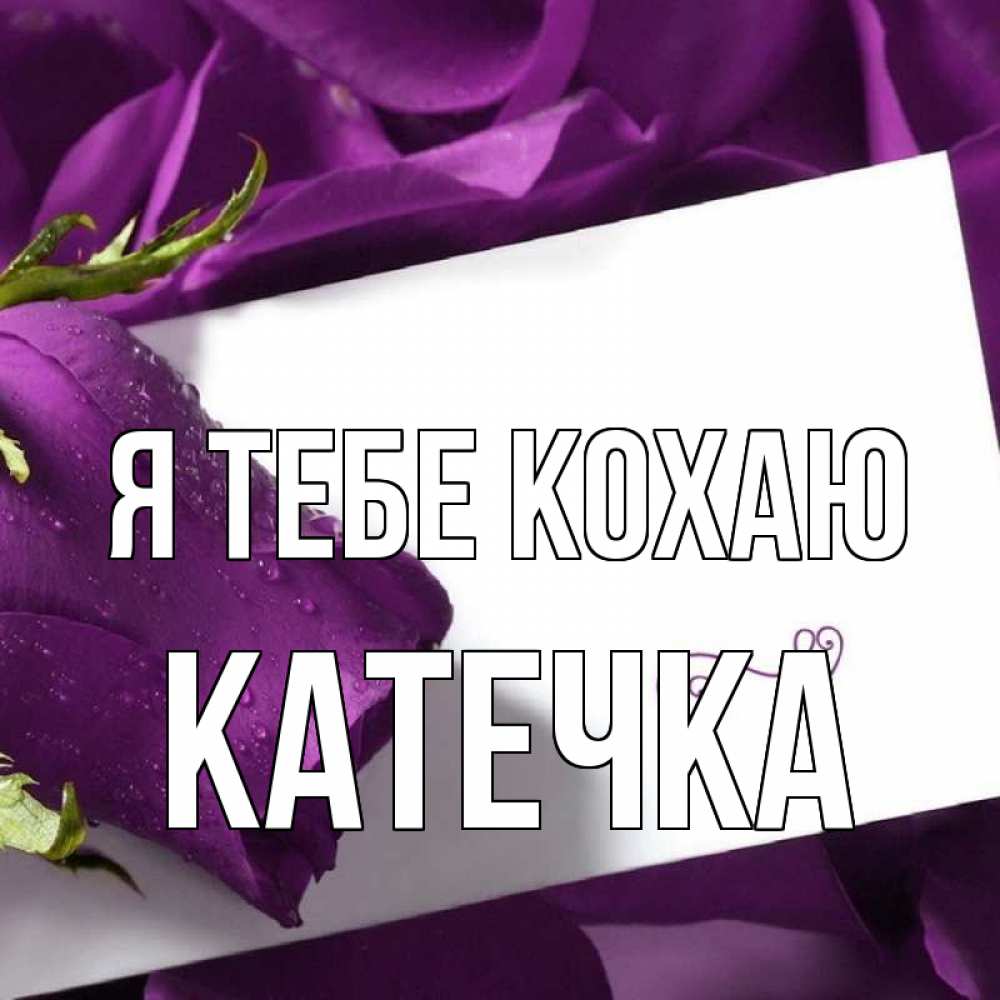 Открытка на каждый день з підписом, Катечка Я тебе кохаю роза Прикольна листівка з побажанням онлайн скачати безкоштовно 