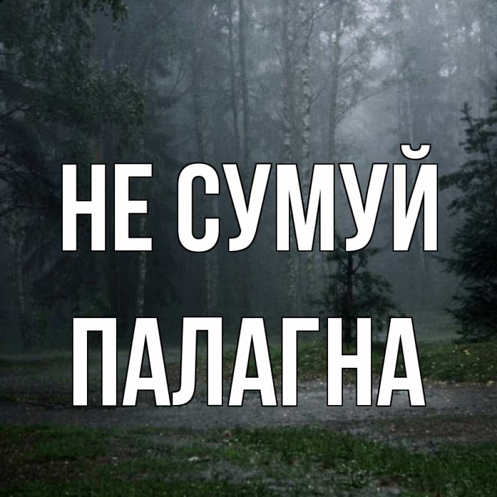 Открытка на каждый день з підписом, Палагна Не сумуй осень Прикольна листівка з побажанням онлайн скачати безкоштовно 