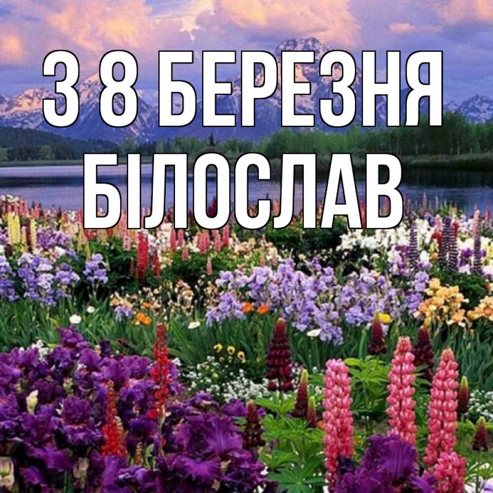 Открытка на каждый день з підписом, Білослав З 8 БЕРЕЗНЯ международный женский день Прикольна листівка з побажанням онлайн скачати безкоштовно 