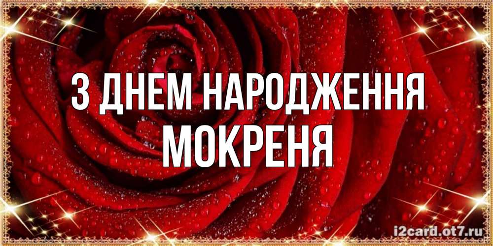 Открытка на каждый день з підписом, Мокреня З Днем народження роса на розе блестящая в лучах солнца Прикольна листівка з побажанням онлайн скачати безкоштовно 