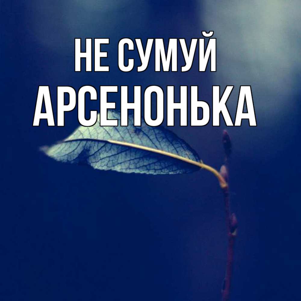 Открытка на каждый день з підписом, Арсенонька Не сумуй растение Прикольна листівка з побажанням онлайн скачати безкоштовно 