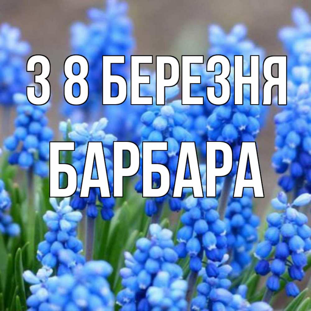 Открытка на каждый день з підписом, Барбара З 8 БЕРЕЗНЯ Поздравительная открытка для женщин с цветами на праздничную дату Прикольна листівка з побажанням онлайн скачати безкоштовно 