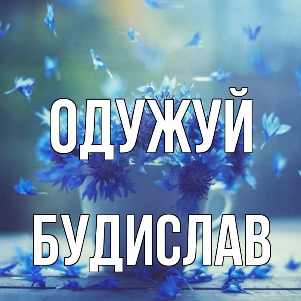 Открытка на каждый день з підписом, Будислав Одужуй кружка с зельем и цветами Прикольна листівка з побажанням онлайн скачати безкоштовно 