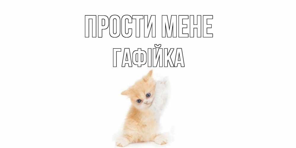 Открытка на каждый день з підписом, Гафійка Прости мене кот Прикольна листівка з побажанням онлайн скачати безкоштовно 