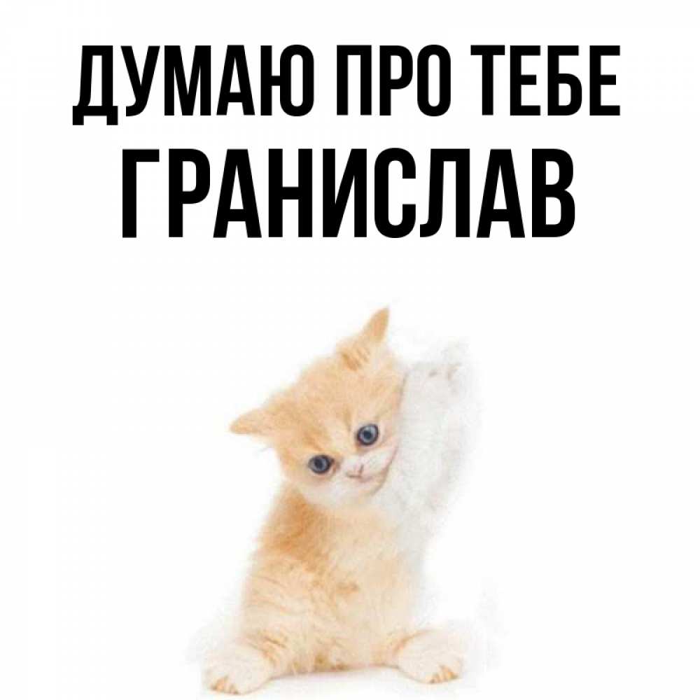 Открытка на каждый день з підписом, Гранислав Думаю про тебе зверушки и милота Прикольна листівка з побажанням онлайн скачати безкоштовно 