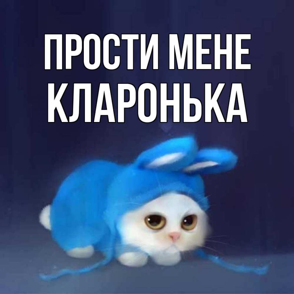 Открытка на каждый день з підписом, Кларонька Прости мене невинный котозай просит прощения Прикольна листівка з побажанням онлайн скачати безкоштовно 