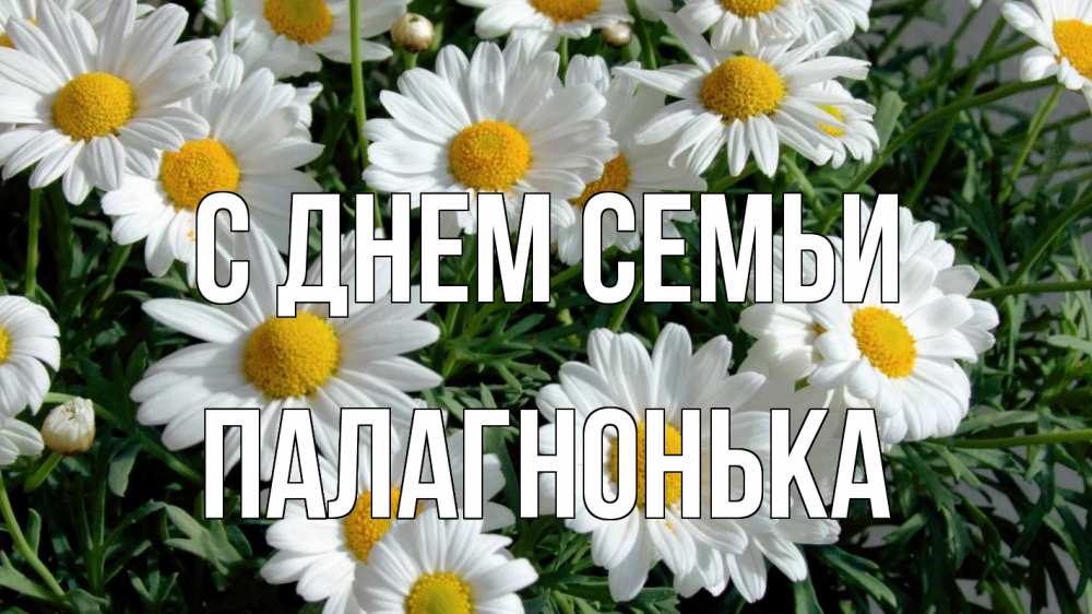 Открытка на каждый день з підписом, Палагнонька С днем семьи с днем семьи Прикольна листівка з побажанням онлайн скачати безкоштовно 