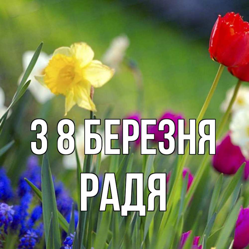 Открытка на каждый день з підписом, Радя З 8 БЕРЕЗНЯ международный женский день 3 Прикольна листівка з побажанням онлайн скачати безкоштовно 