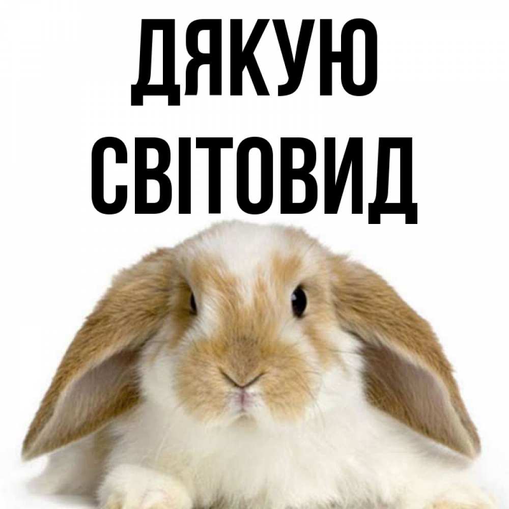 Открытка на каждый день з підписом, Світовид Дякую коричнево белый заяц Прикольна листівка з побажанням онлайн скачати безкоштовно 