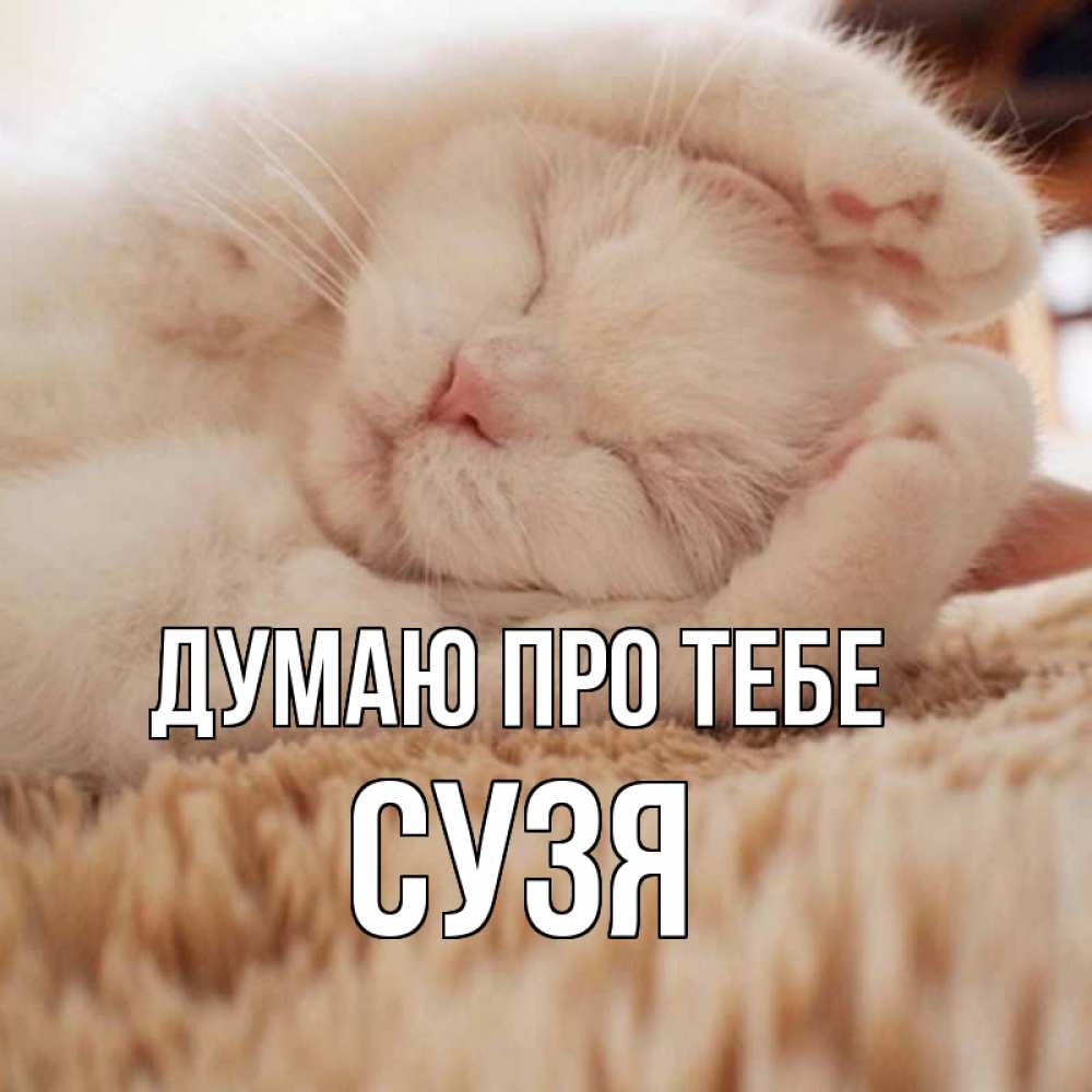 Открытка на каждый день з підписом, Сузя Думаю про тебе для любимой девушки милота Прикольна листівка з побажанням онлайн скачати безкоштовно 