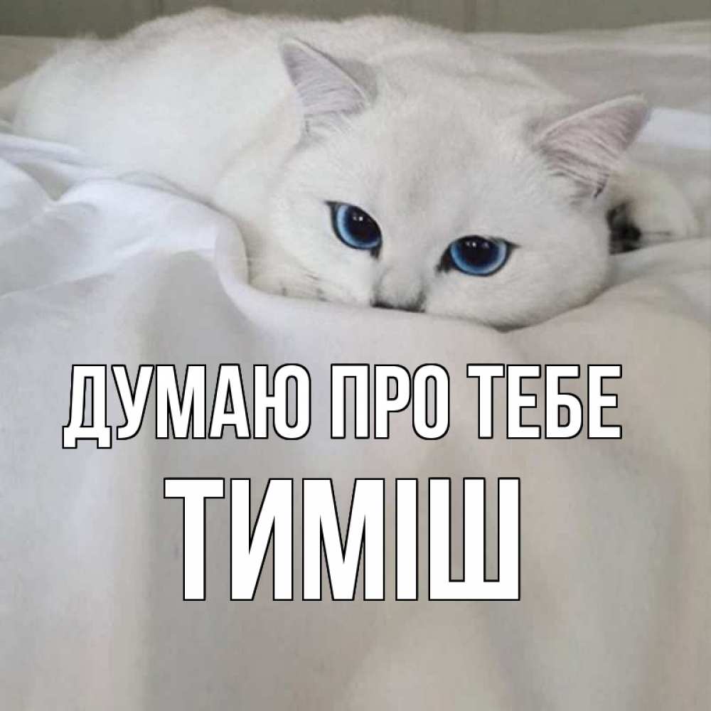 Открытка на каждый день з підписом, Тиміш Думаю про тебе я очень по тебе скучаю и тоскую Прикольна листівка з побажанням онлайн скачати безкоштовно 