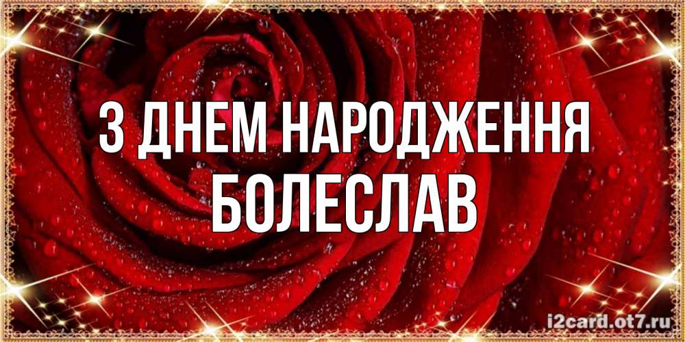Открытка на каждый день з підписом, Болеслав З Днем народження роса на розе блестящая в лучах солнца Прикольна листівка з побажанням онлайн скачати безкоштовно 