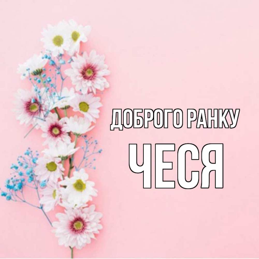 Открытка на каждый день з підписом, Чеся Доброго ранку цветы с подписью Прикольна листівка з побажанням онлайн скачати безкоштовно 