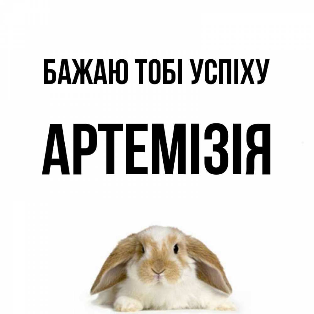 Открытка на каждый день з підписом, Артемізія Бажаю тобі успіху открытки с произвольным текстом который можно вставить в открытку и создать ее самостоятельно бесплатно онлайн Прикольна листівка з побажанням онлайн скачати безкоштовно 